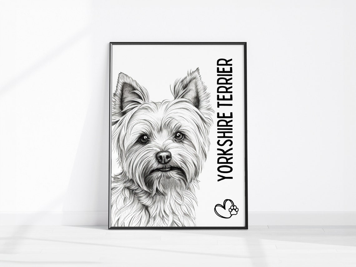 Yorkshire Terrier Sketch Black and White Puppy Portrait Poster