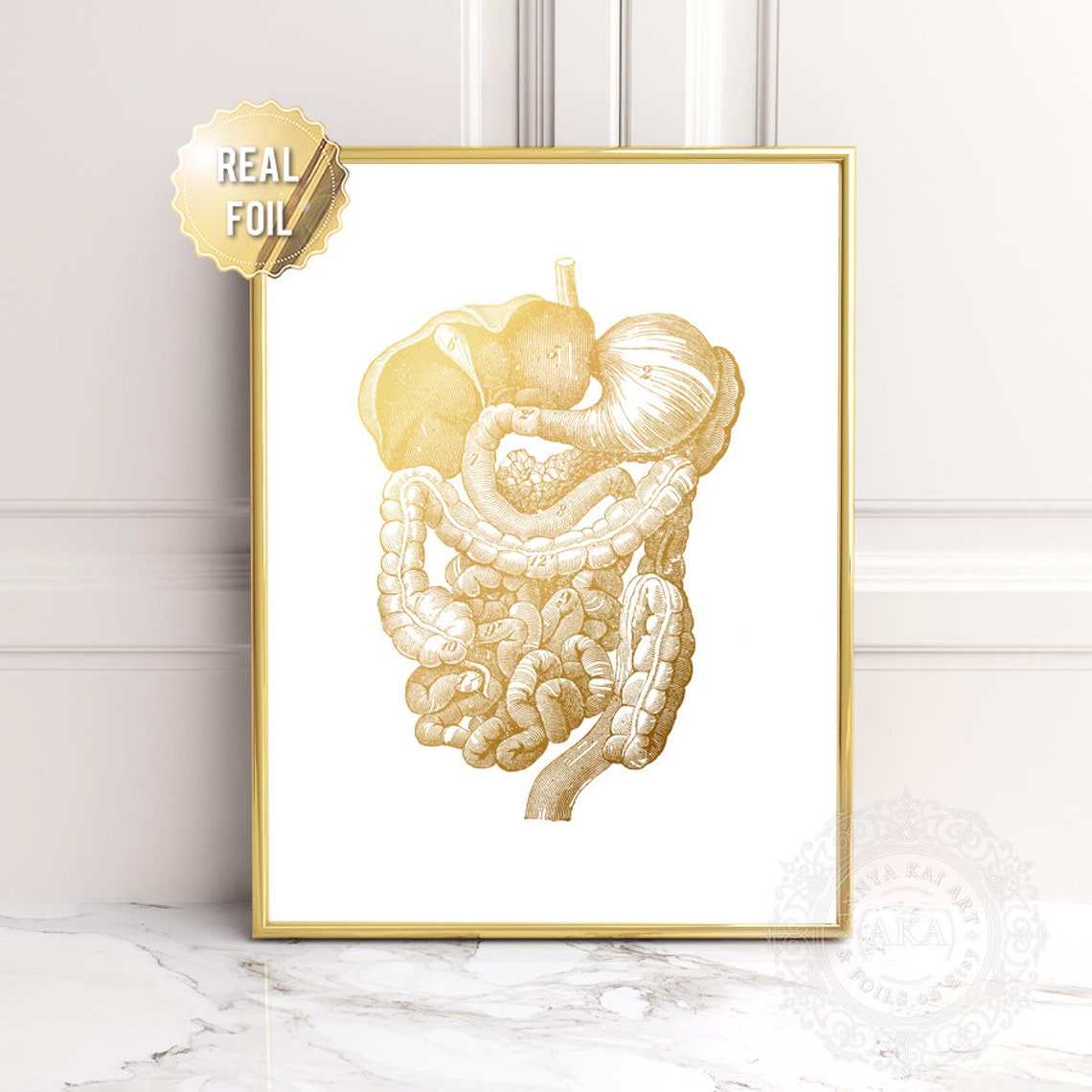 Digestive System Anatomy Gold Foil Vintage Medical Office Wall Art