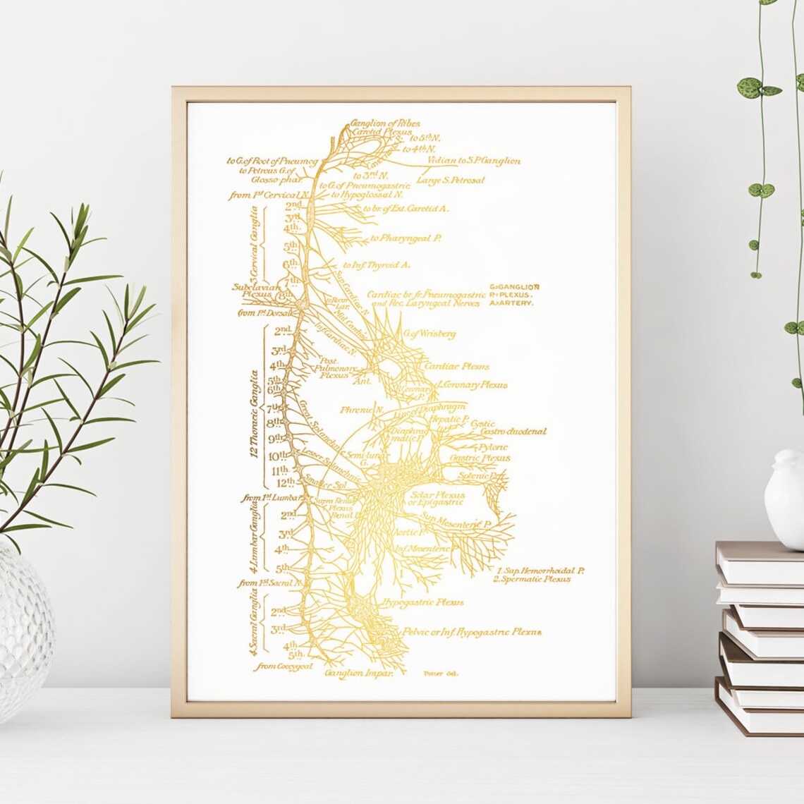 Neuroscience Gold Foil Art Print, Nervous System - Image 3