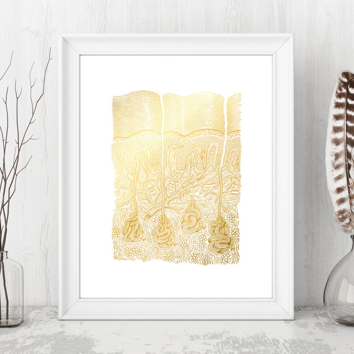 Skin Epidermis Anatomy Gold Foil Dermatology Medical Wall Art