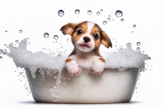 Cute Baby Dog Pup In The Bathtub Funny Animal Wall Art Bathroom Wall Print Cute Puppy Photograph Home Decor Ai Prints