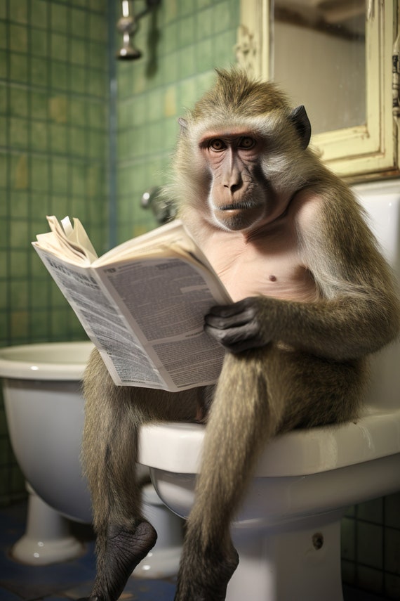 Baboon Ape Sitting On The Toilet, Funny Bathroom Art Print