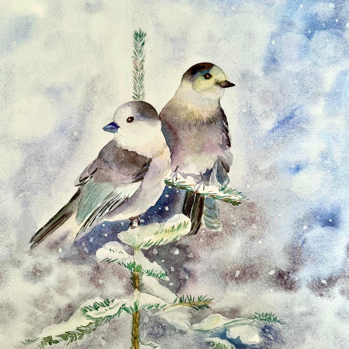 Birds Couple Watercolor Painting Christmas Birds Winter Watercolor Painting Gift For Bird Lovers Original Painting