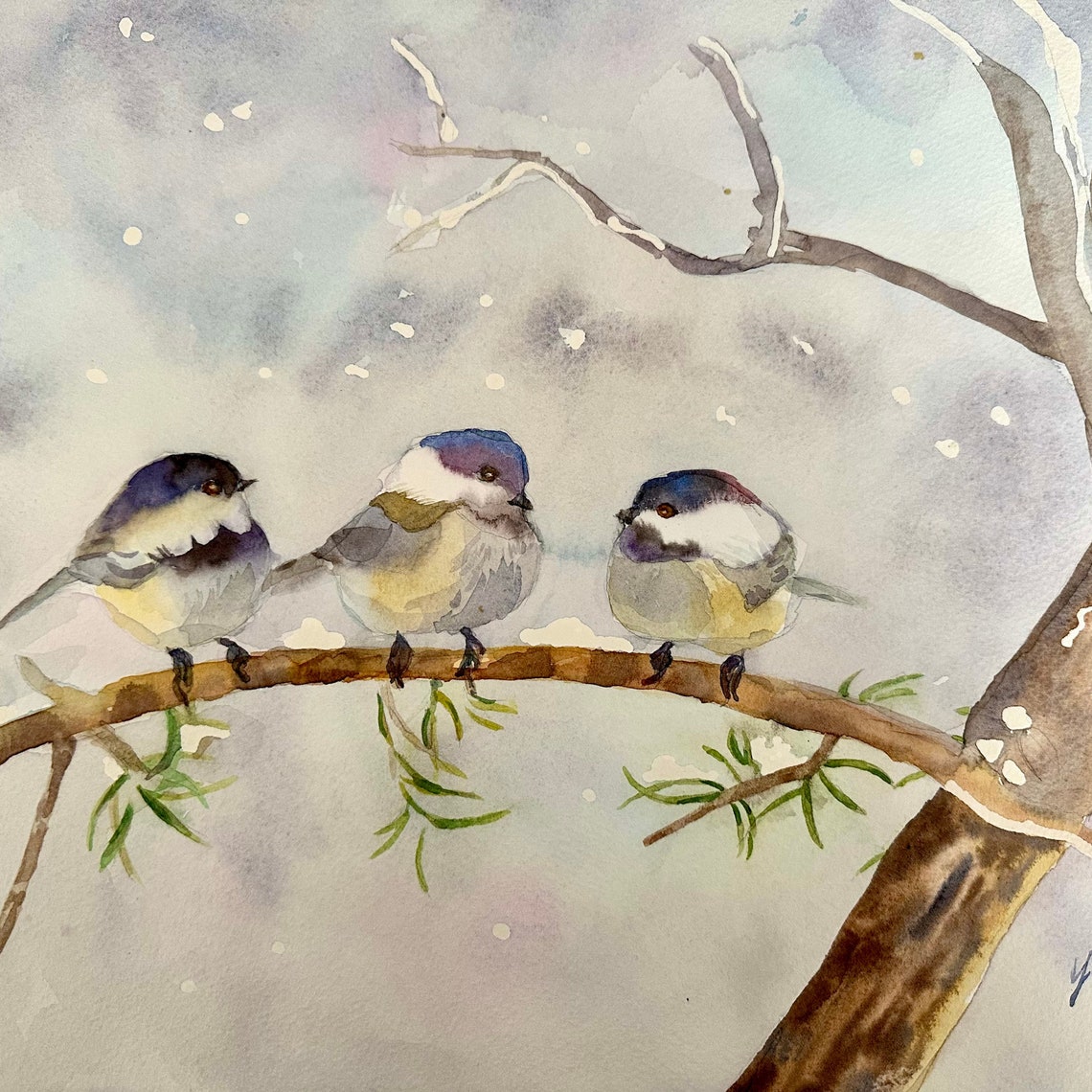Three Chickadees on Snowy Branch in Falling Snow Watercolor Poster