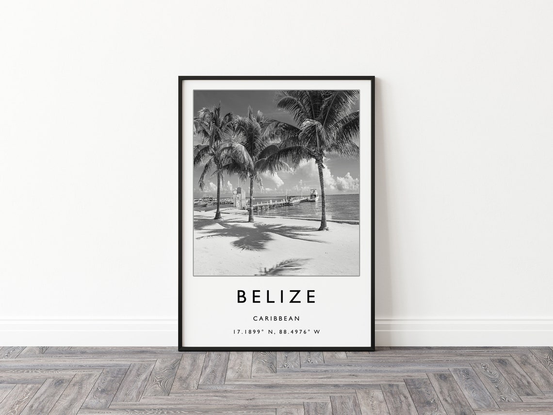 Belize Caribbean Black and White Palm Beach Photography Poster - Image 3