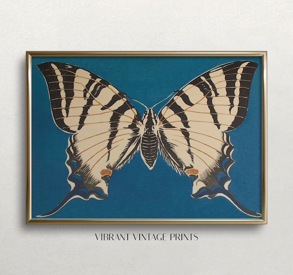 Vintage Butterfly Wall Art Print, Antique Style
