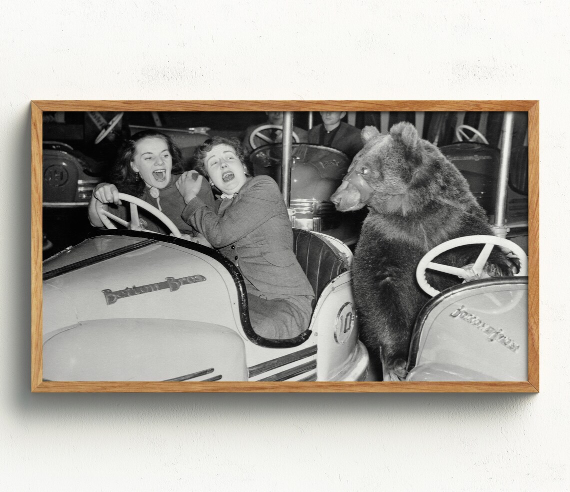 Bear Driving Bumper Car Women Screaming Funny Black White Photo Poster