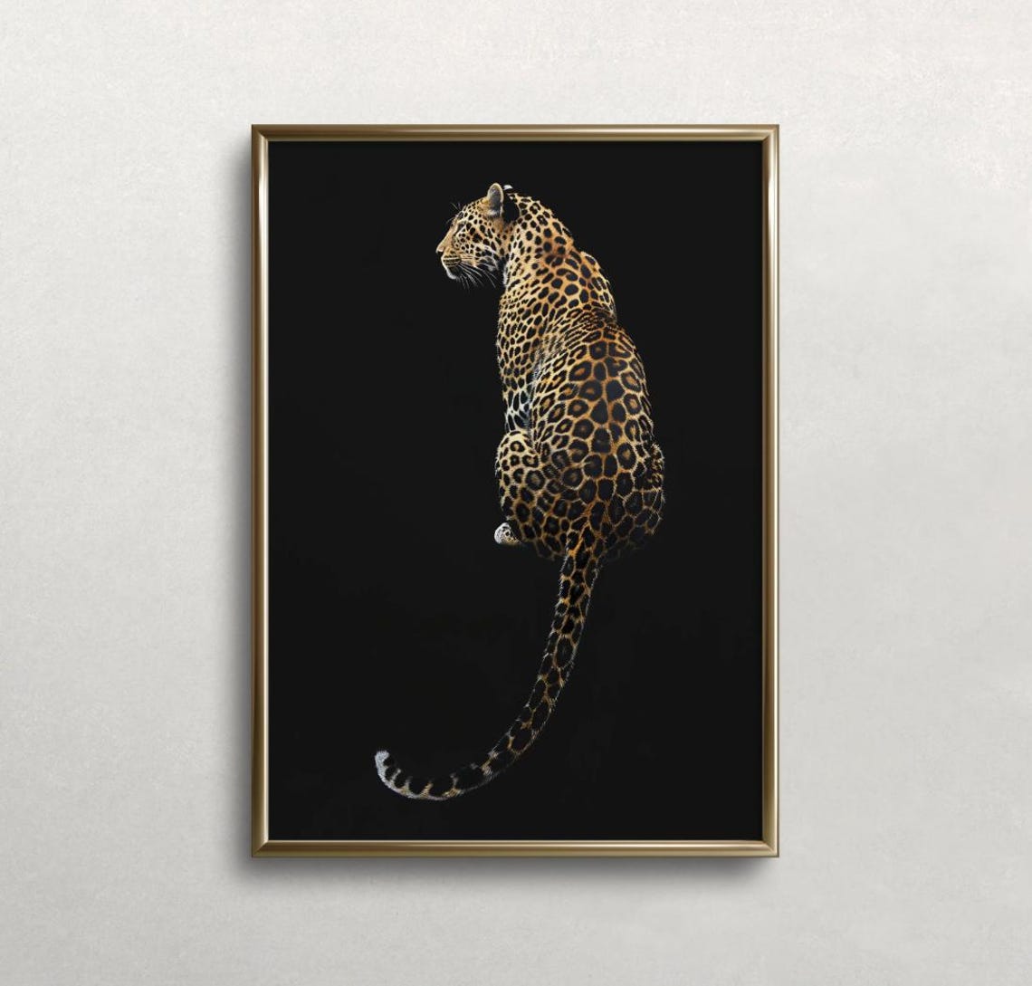 Leopard Sitting Against Black Background Dramatic Big Cat Photo Poster