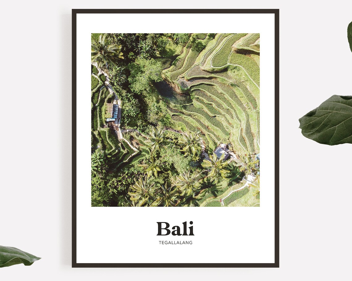 Bali Tegallalang Rice Terrace Aerial Drone Photography Travel Poster