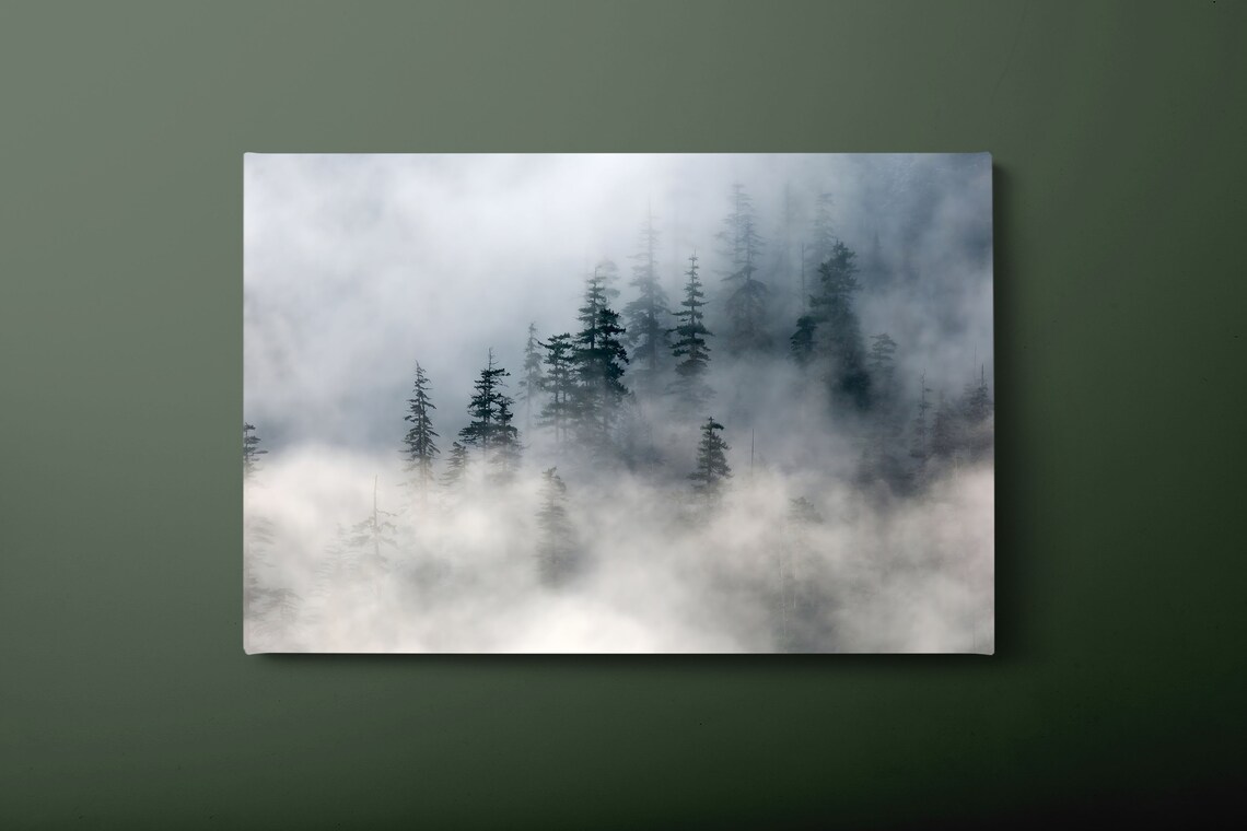 Misty Pine Forest Foggy Evergreen Woodland Nature Scene Poster