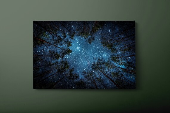 Stars And Trees Wall Art Night In Forest Print Navy Blue Night Sky Painting Ready To Hang