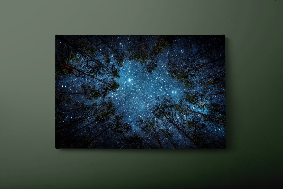 Starry Night Forest Milky Way Pines Navy Blue Sky Nature Art Poster