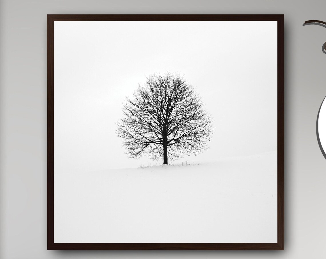 Tree Shedding Its Leaves, Cycle Of Renewal