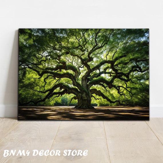 Angel Oak Tree, South Carolina Historic Wall Art Print