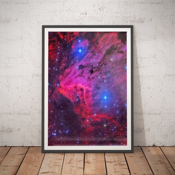 Pelican Nebula Astronomy Art Print, Outer Space Decor