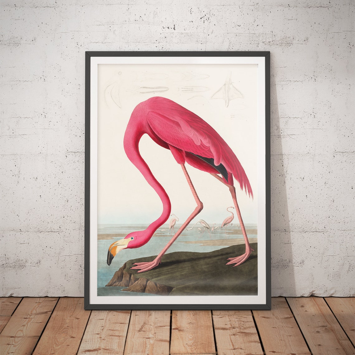 John James Audubon Pink Flamingo Vintage Bird Illustration Poster