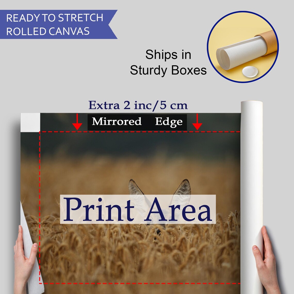 Roe Deer Peeking Out Of Golden Wheat Field Wildlife Photo Poster - Image 4