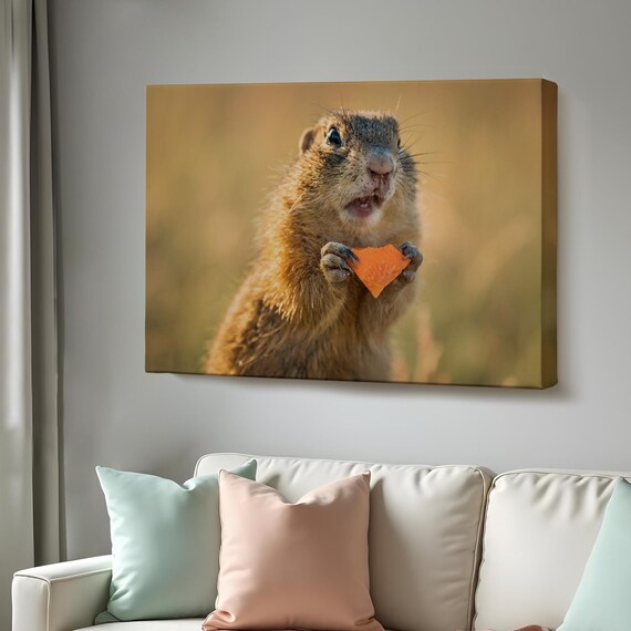 Cute Squirrel Eating Carrot Funny Wildlife Close Up Photo Wall Art