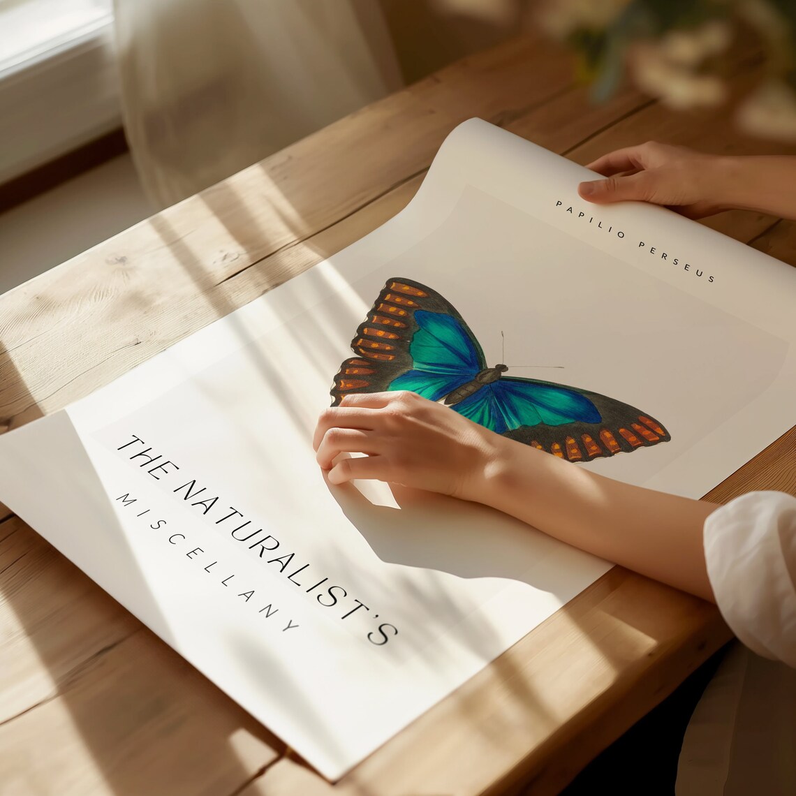 Papilio Perseus Blue Butterfly Vintage Natural History Wall Art - Image 2