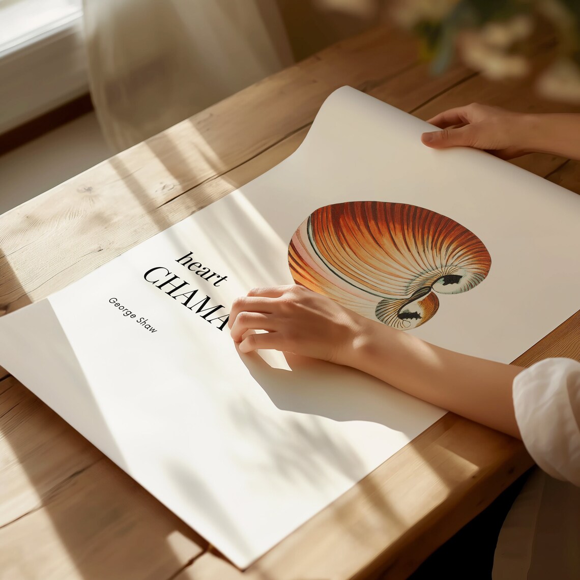 Heart Chama Shell George Shaw Vintage Coastal Marine Life Print - Image 2
