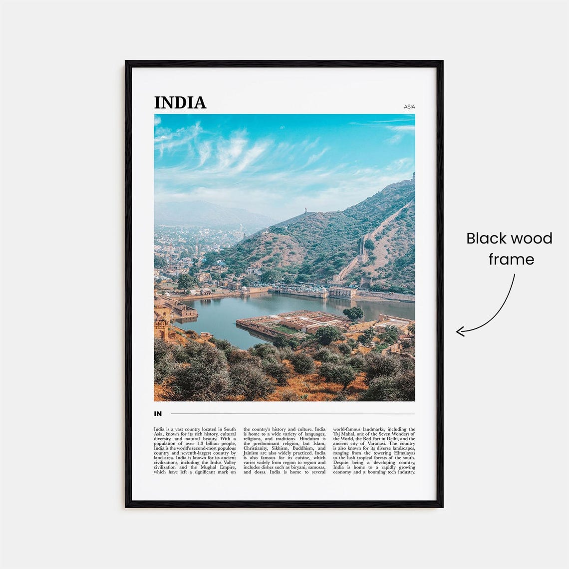 India Asia Royal Heritage Palace Lake and Hill Fort View Poster - Image 2