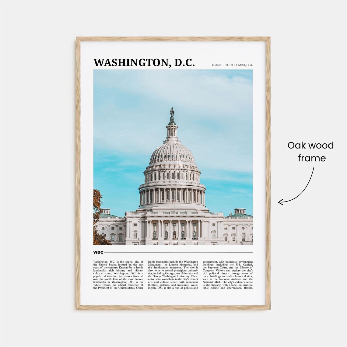 Washington DC Travel Poster, USA Wall Art - Image 3