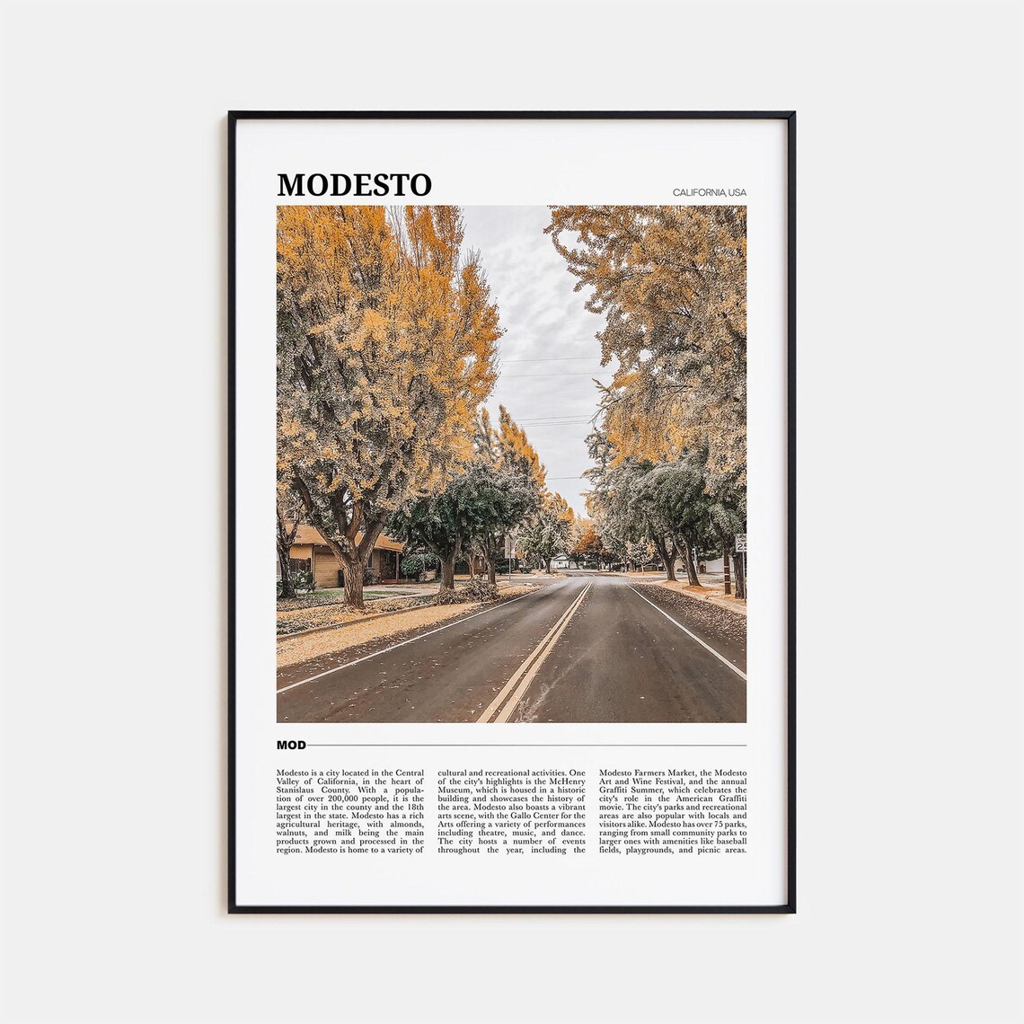 Modesto California Tree Lined Autumn Street Travel Poster Series