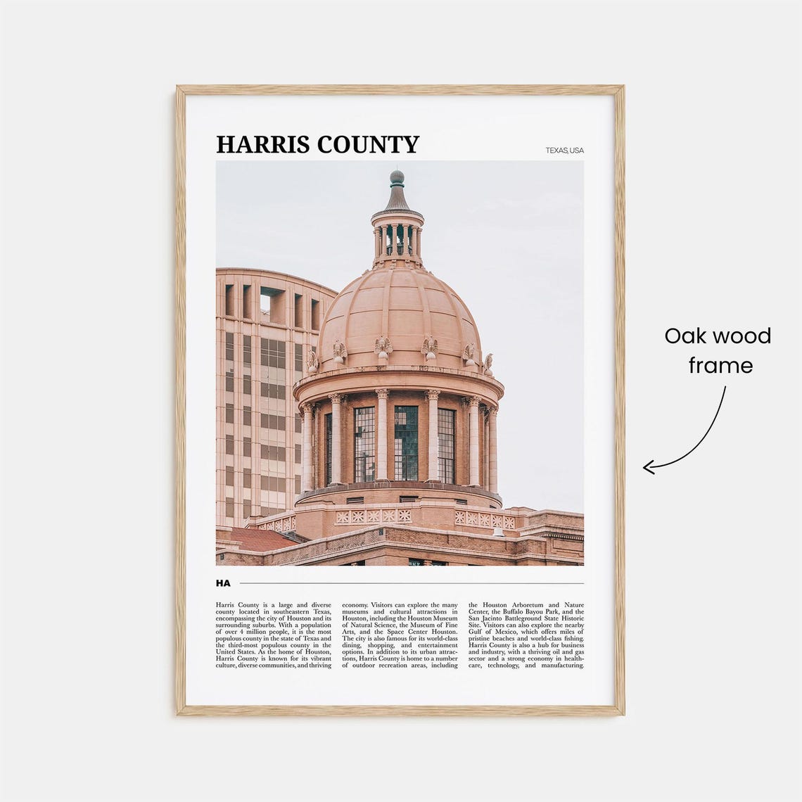Harris County Texas Domed Courthouse Travel Photography Poster - Image 3