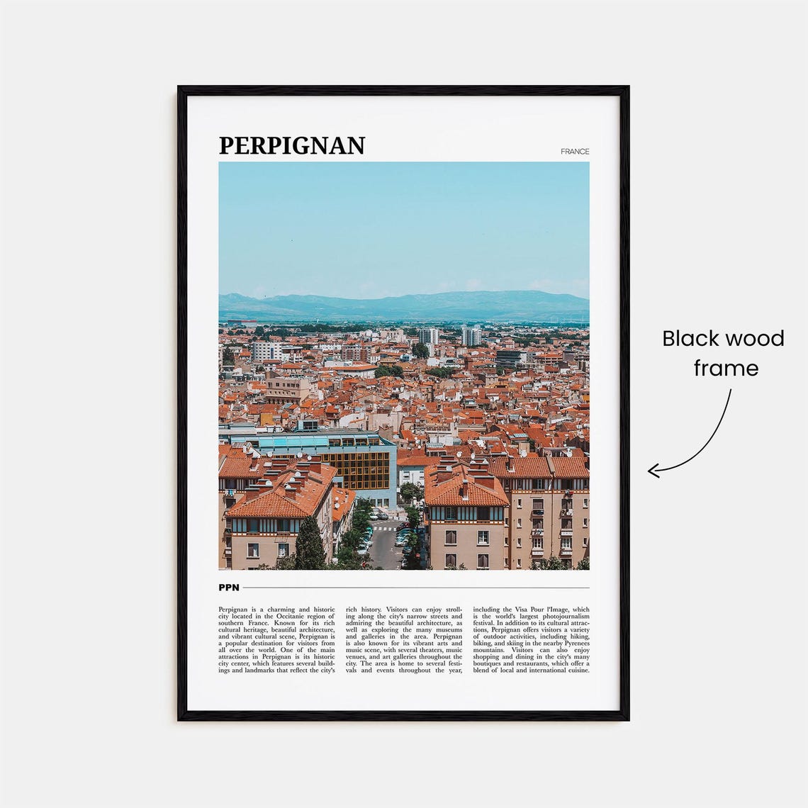 Perpignan France Terracotta Rooftops Panorama Mountain View Poster - Image 2