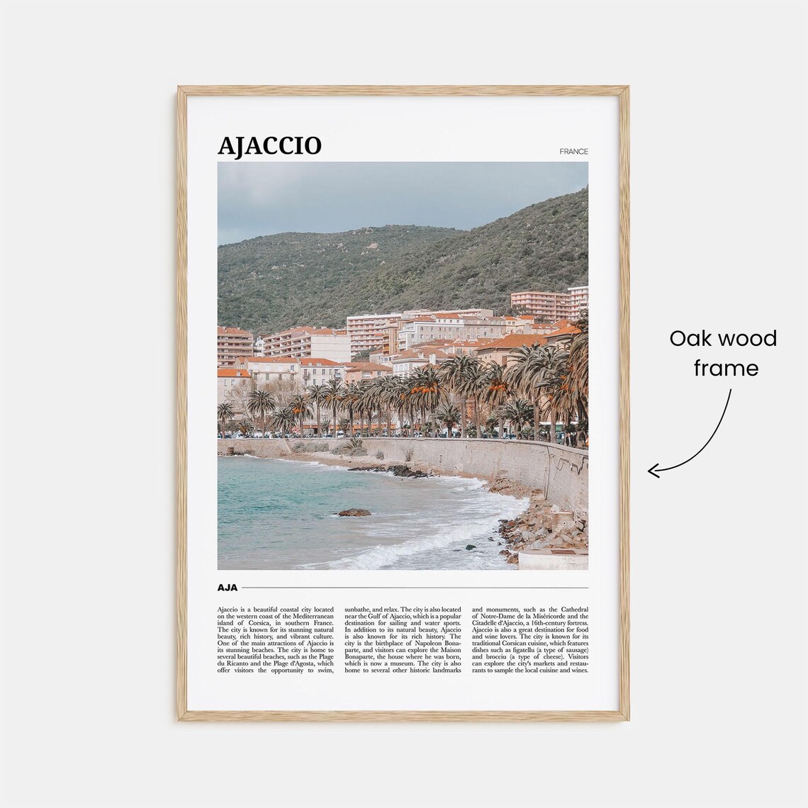 Ajaccio France Corsica Coastal City Palm Promenade View Poster - Image 3