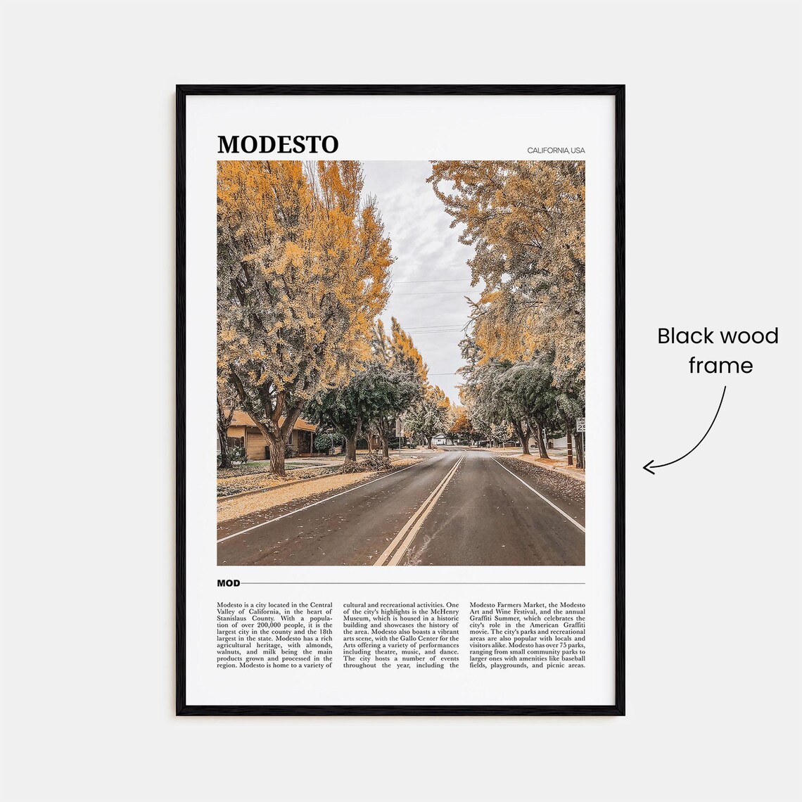 Modesto California Tree Lined Autumn Street Travel Poster Series - Image 2