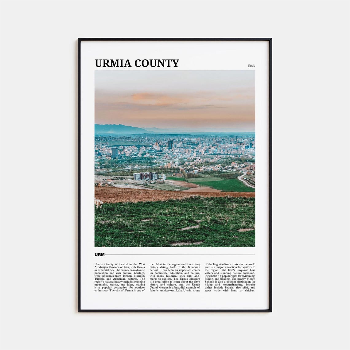 Urmia County Iran City Panorama Mountain View Green Fields Poster