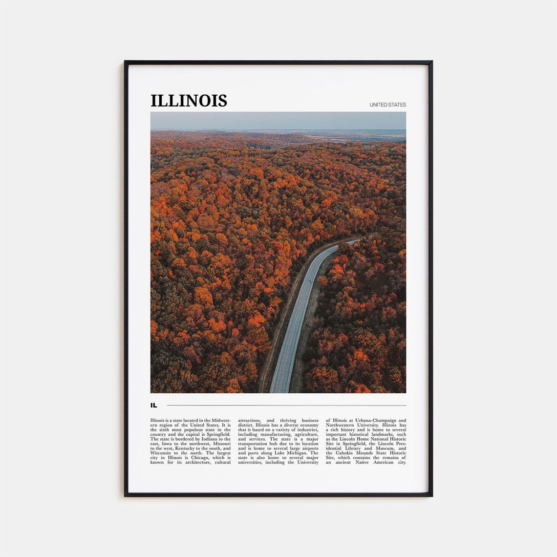 Illinois USA Scenic Fall Foliage Forest Highway Aerial Poster