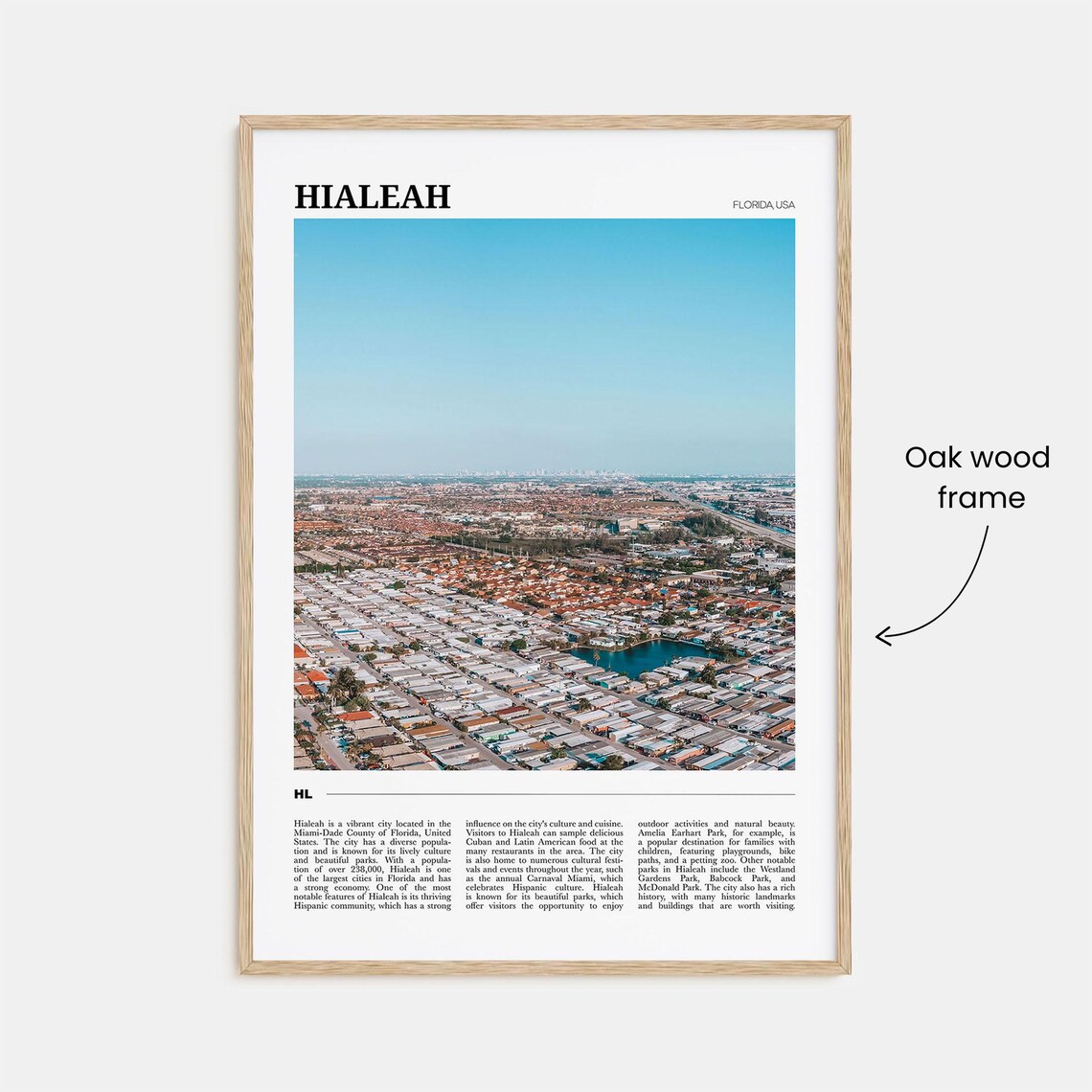 Hialeah Florida Aerial Suburban Neighborhood City View Travel Poster - Image 3