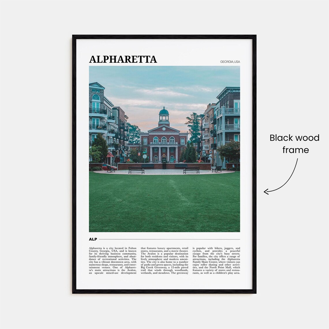 Alpharetta Georgia USA Historic Brick City Hall Downtown Poster - Image 2
