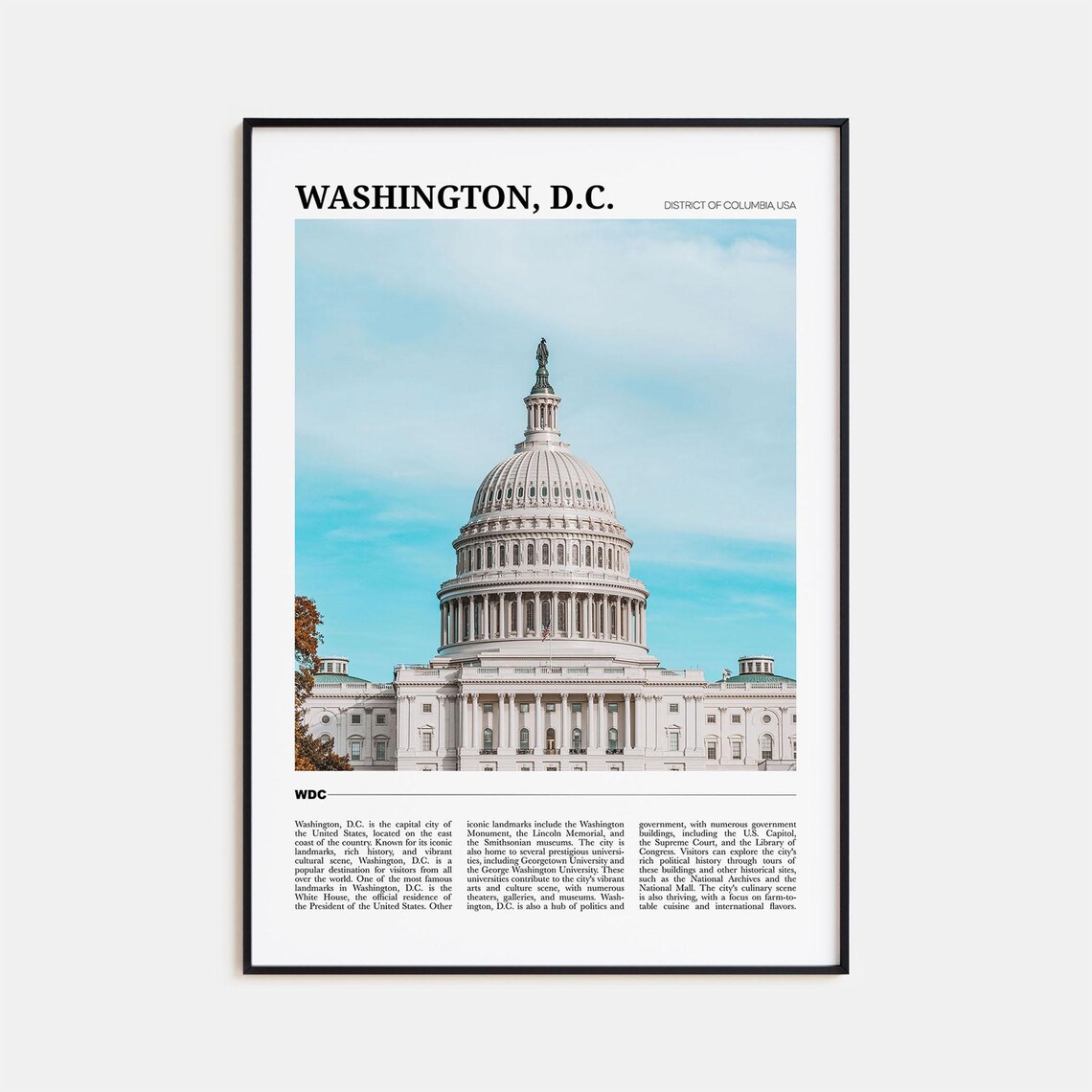 Washington DC Travel Poster, USA Wall Art