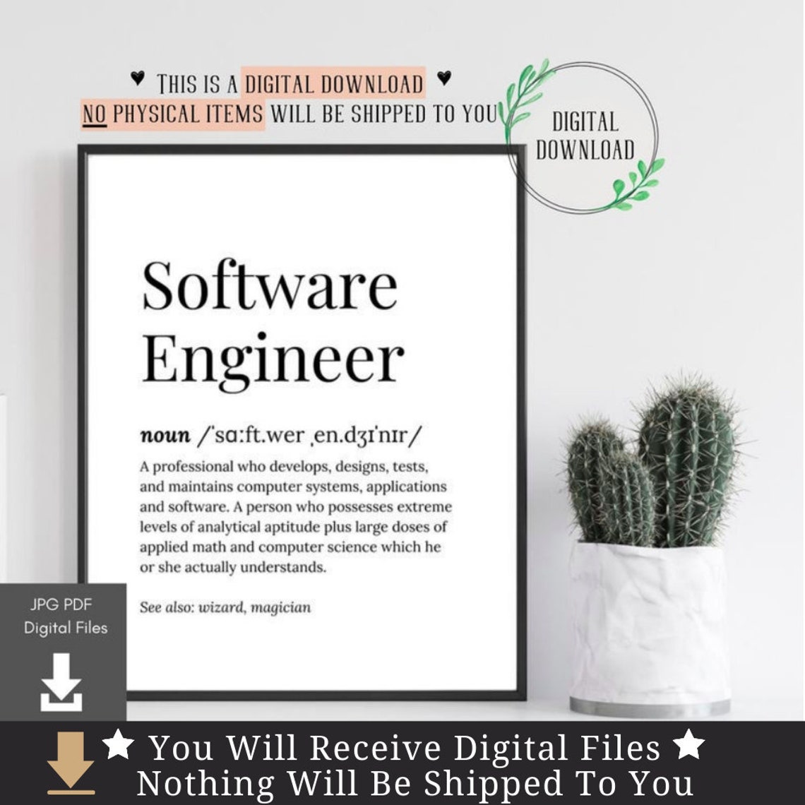Software Engineer Funny Dictionary Definition Graduation Gift Poster