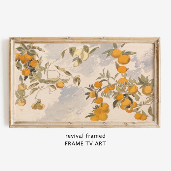 Frame Tv Vintage Watercolor Tv Art Fruit Tree Still Life Painting Frame Tv Art Citrus Frame Tv Large Art Gallery Wall
