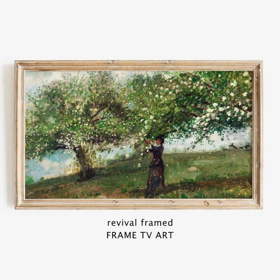 Woman Picking Blossom under a Flowering Tree in Spring Poster