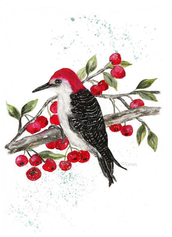 Red Headed Woodpecker In A Cherry Tree Watercolor Print Woodpecker Series