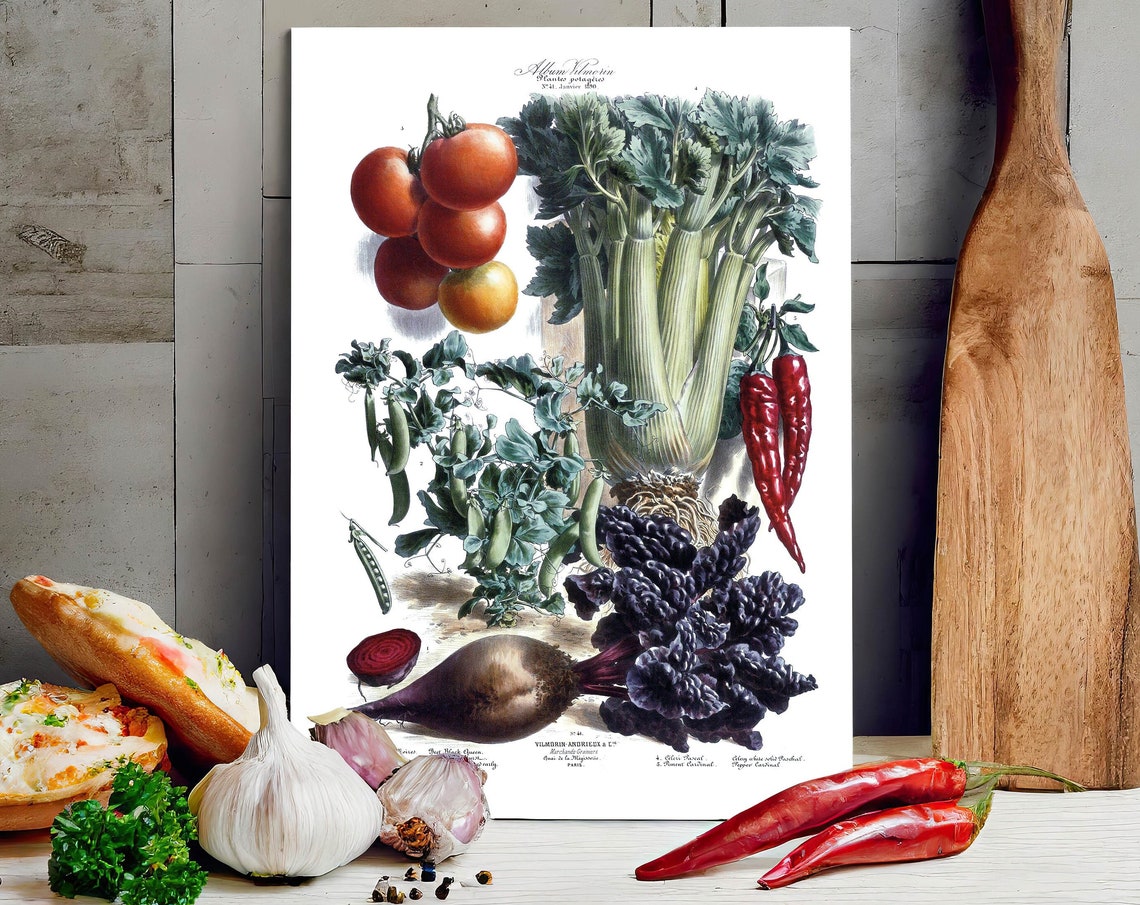 Vilmorin French Vegetable Study Tomato Celery Vintage Kitchen Poster
