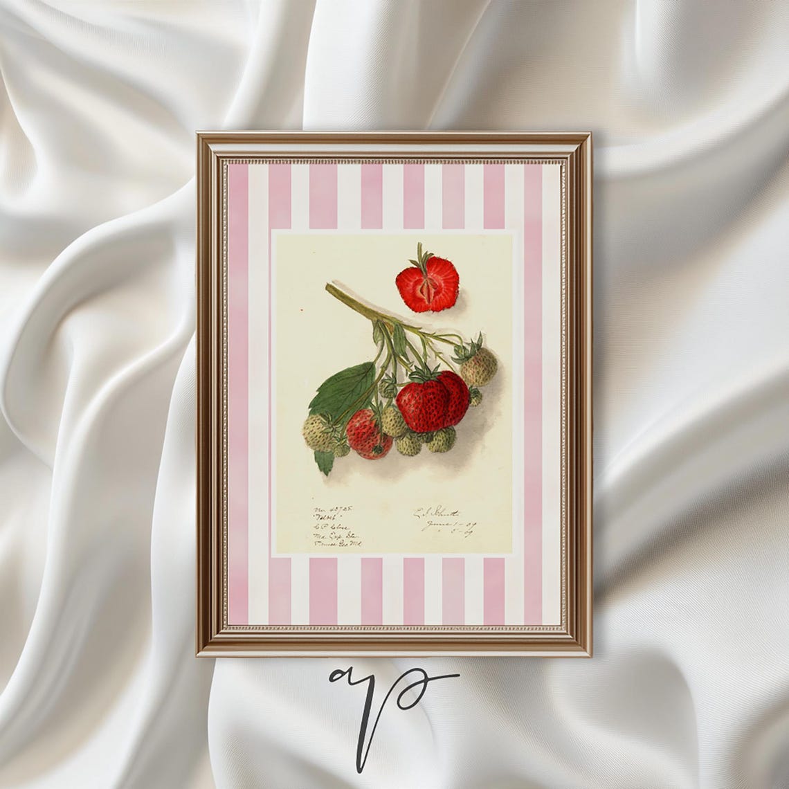 Strawberry Botanical Vintage Fruit Illustration Pink Stripe Poster
