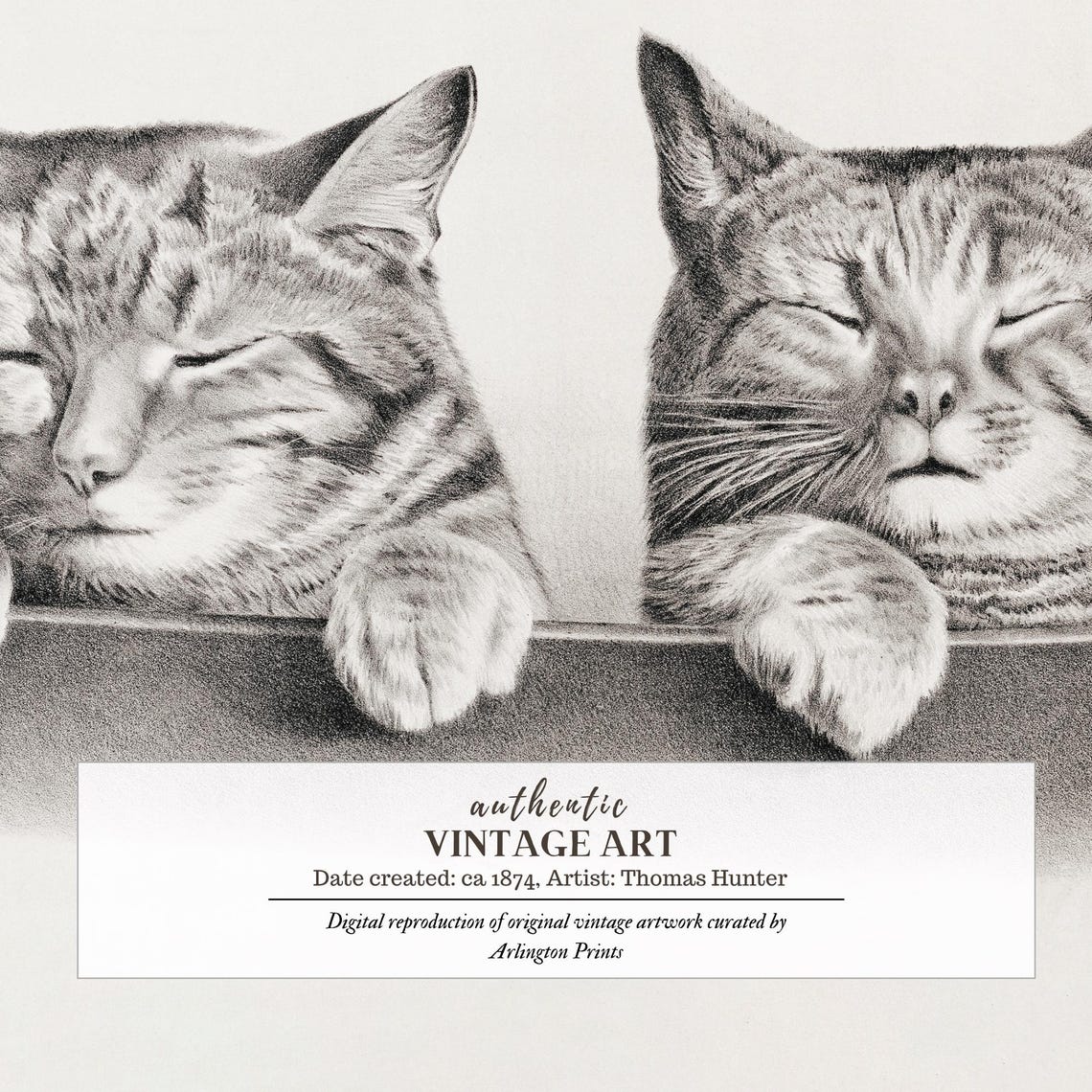 Two Sleepy Tabby Cats Napping Over a Chair Pencil Sketch Poster - Image 6