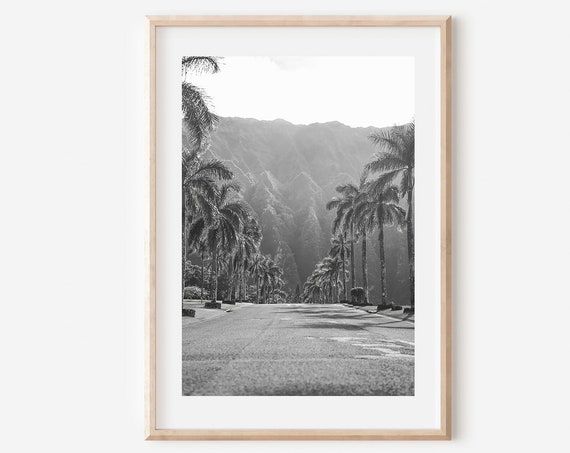 Hawaii Black and White Travel Poster, Maui Beach