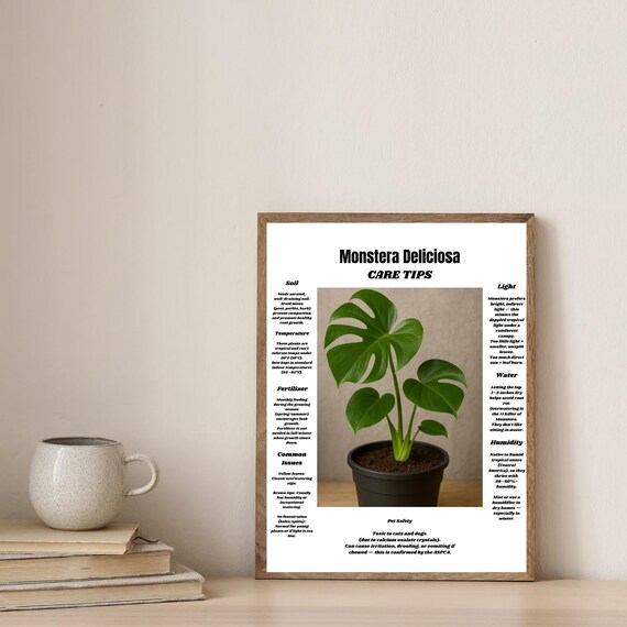 Monstera Deliciosa Care Tips Poster Houseplant Guide Botanical Wall Decor