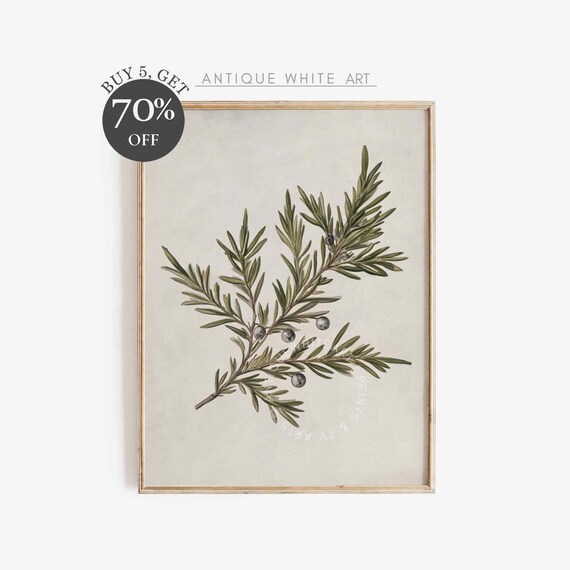 Country Christmas Botanical Print Christmas Wall Art Moody Winter Print Holiday Wall Decor Muted Holiday Print W132