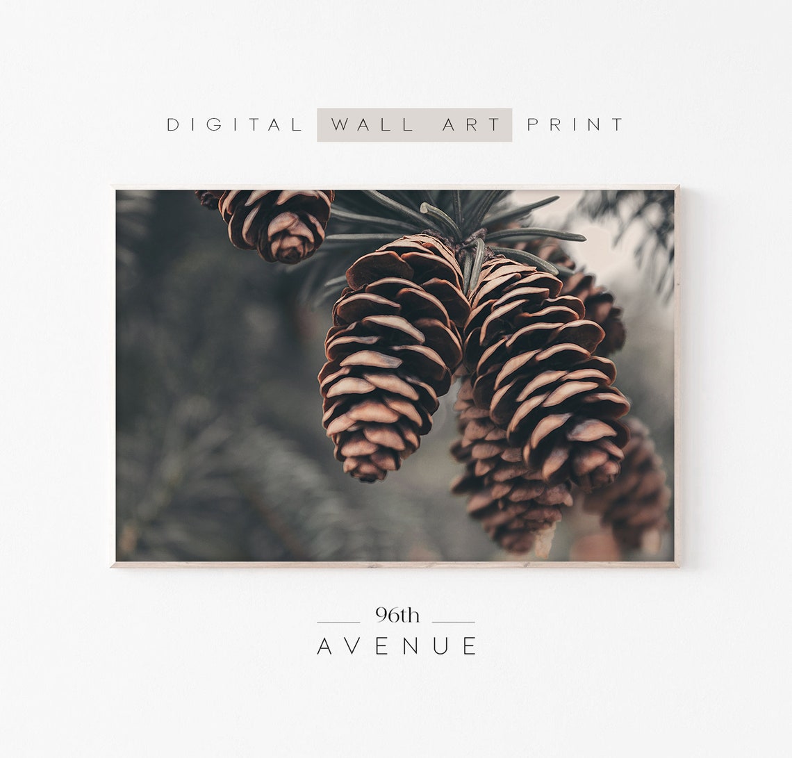 Pine Cone Winter Art Print