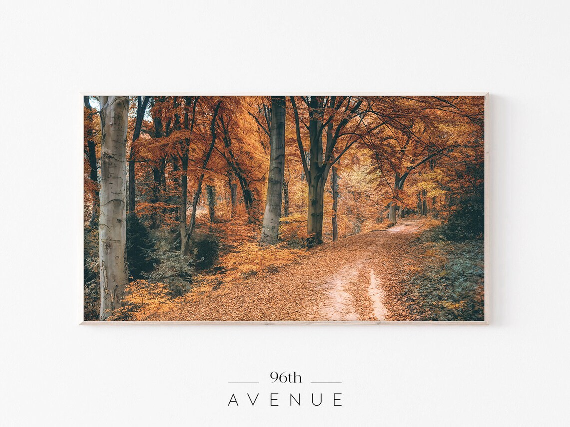 Autumn Forest Travel Poster, Colorful Foliage
