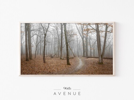 Foggy Autumn Forest Path Bare Trees Moody Fall Photography Wall Art