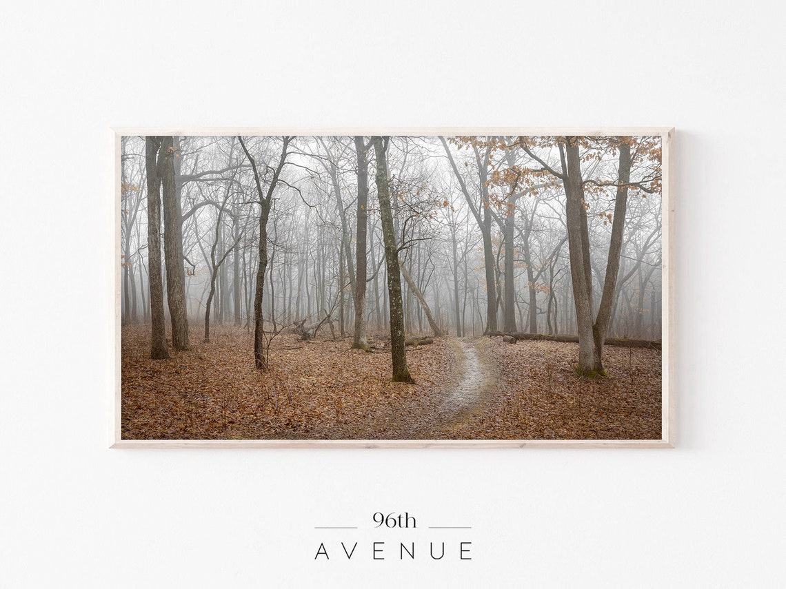 Foggy Autumn Forest Path Bare Trees Moody Fall Photography Wall Art